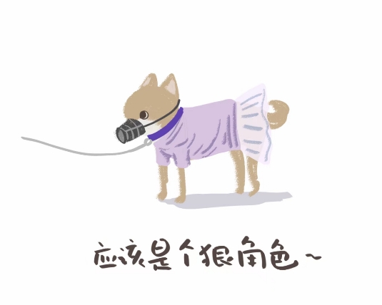 水娃子会指北的头像